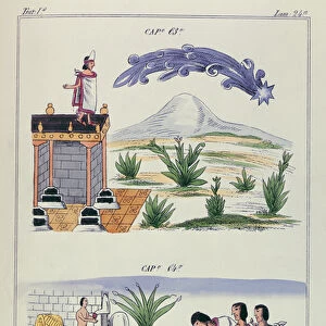 Cap 63 and Cap 64, illustrations from Historia de las Indias de Nueva Espana y islas