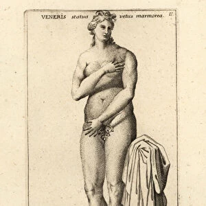 The Capitoline Venus, or Venus Pudica, modest Venus. 1779 (engraving)