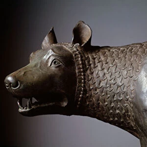 Capitoline Wolf (detail of the head) - Bronze sculpture, 450-430 BC