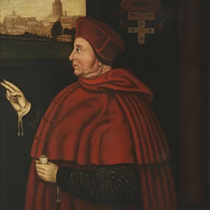 Cardinal Thomas Wolsey (oil on canvas)