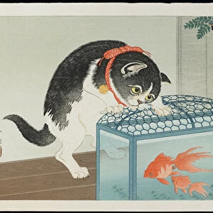 Cat and Goldfish, 1930s (colour woodblock print)