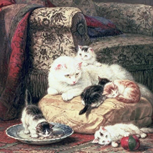 Cat with her Kittens on a Cushion (oil on canvas)