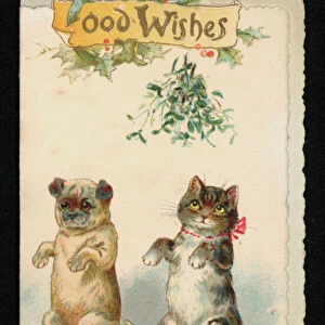 Cat and pug dog under the mistletoe, Christmas greetings card. (chromolitho)