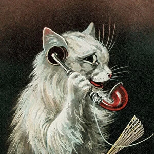 Cat on the telephone (colour litho)