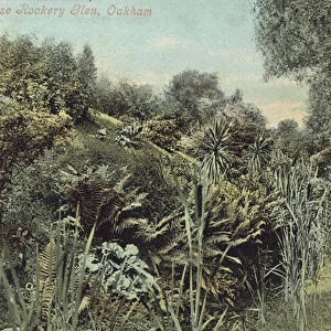 Catmose Rockery Glen, Oakham, Rutland (colour photo)