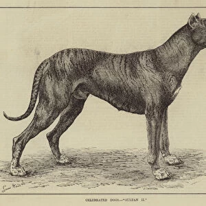 Celebrated Dogs, "Sultan II"(engraving)