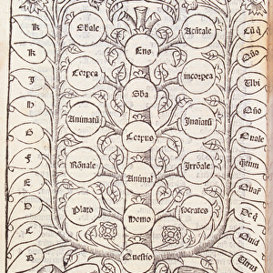 Celestial ladder from De Nova Logica by Ramon Llull (c. 1235-1316) c. 1512