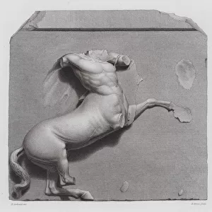 Centaur, ancient Greek marble sculpture from the Parthenon, Athens (engraving)