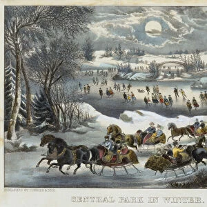 Central Park in Winter, 1877-94 (hand-coloured lithograph)