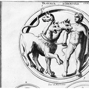 Cerberus Tamed by Hercules (engraving) (b / w photo)