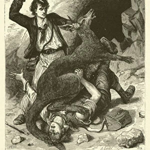 Chasse Aux Kangurous (engraving)