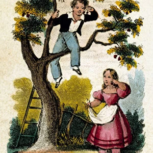 Cherry picking - chromo. late 19th century