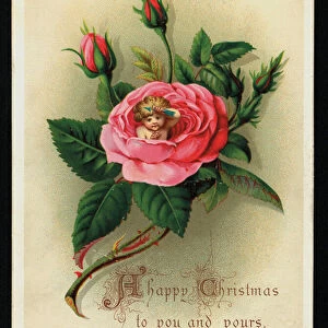 Cherub inside a pink rose, Christmas greetings card. (chromolitho)