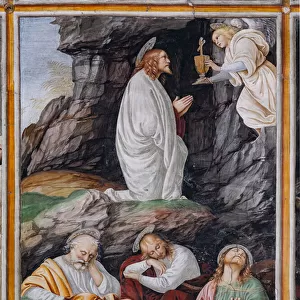 Christ praying the the Garden of Gethsemane, detail of "The life and the Passion of Christ", 1513 (fresco)