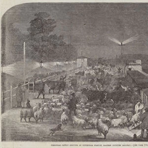 Christmas Cattle arriving at Tottenham Station, Eastern Counties Railway (engraving)