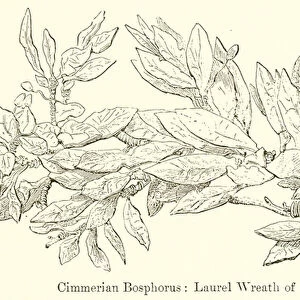 Cimmerian Bosphorus: Laurel Wreath of Gold (engraving)