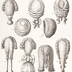 A Collection of Mens and Womens 18th Century Wigs, 1875 (litho)