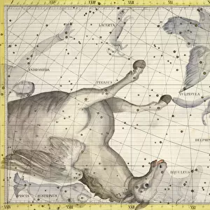 Constellation of Pegasus, plate 25 from Atlas Coelestis