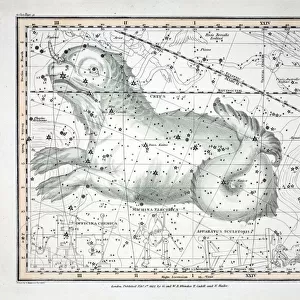 The Constellations (Plate XXIII) Cetus, Officina Sculptoris, Machina Electrica