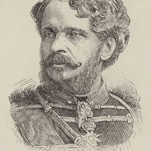 Count Julius Andrassy (engraving)