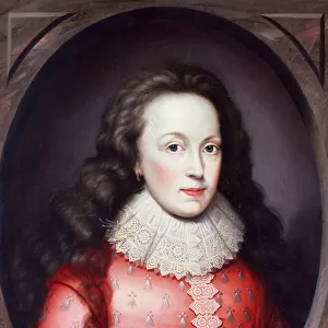 The Countess of Arundel in a Red Dress (oil on panel)