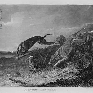 Coursing, the Turn (engraving)