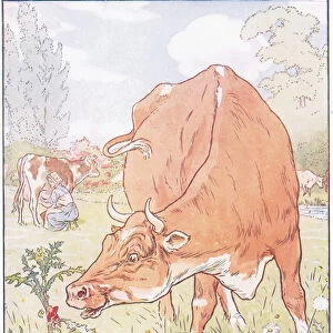A cow bit off the thistle and swallowed poor Tom (colour litho)