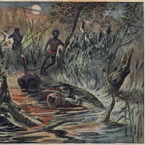 Crocodile hunt in Niger with a child for bait. Illustration in "