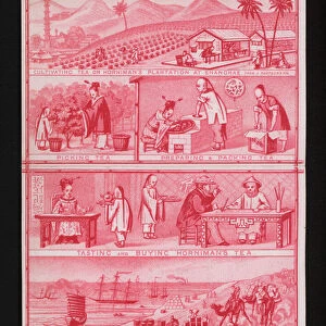 Cultivating and processing Hornimans tea in China and shipping it to England (colour litho)