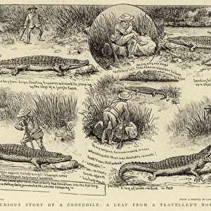 A Curious Story of a Crocodile, a leaf from a Travellers Note-Book (litho)
