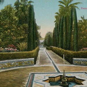 Cypress Walk, Alcazar, in Seville, Spain. Postcard sent in 1913