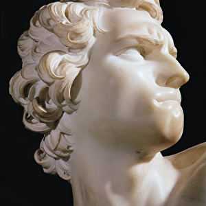 David (detail of the head, right profile), 1623 (marble)