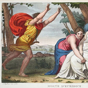 Death of Eurydice or Morte d Euridice, Book X, illustration from Ovid
