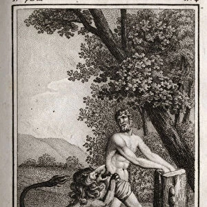 Death of Milon de Crotone (Milo of Croton) devore by a wolf