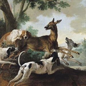 A Deer Chased by Dogs, 1725 (oil on canvas)