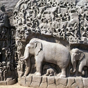 Descent of the God Ganges, Mahabalipuram rock sanctuary (UNESCO World Heritage List