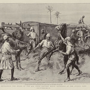Detraining the Mules of the 32nd Field Battery Royal Artillery at the Atbara Camp (litho)