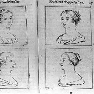 The different female profiles Page taken from "Tractatus physiologicus de