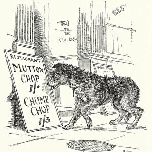 Dog eyeing up a restaurant sign for meat chops (litho)