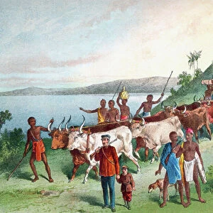 Dr. David Livingstone's arrival at Lake Ngami, Botswana, South Africa in 1849. David Livingstone, 1813 - 1873. Scottish Congregationalist pioneer medical missionary and explorer in Africa. From The Life and Explorations of Dr