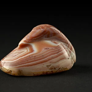Duck weight (agate)
