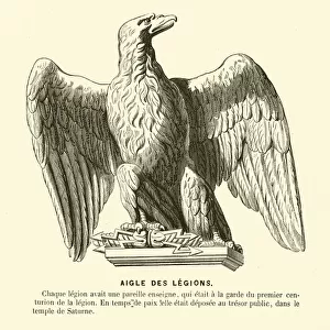 Eagle standard of a Roman legion (engraving)