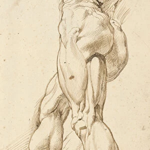 Peter Paul Rubens Collection: Nude studies