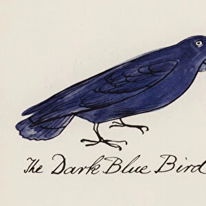 Edward Lear, The Bird Book: The Dark Blue Bird (colour litho)
