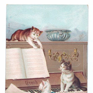 Edwardian postcard of three cats, one plaing the piano and one turning the music sheet, c