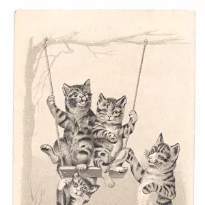 Edwardian postcard of three cats on a swing and one pushing it, c. 1910 (monochrome)