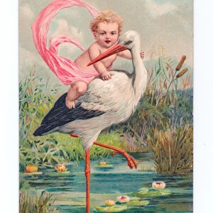 Edwardian postcard of a stork wading in a pond with a baby girl on its back, c
