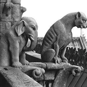 Elephant and lion gargoyles from the balustrade of the Grande Galerie of the west facade, replica of a 12th century original (stone) (b / w photo)