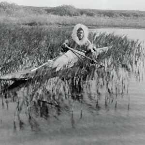 An Eskimo muskrat hunter paddling through the marsh, Kotzebue, Alaska, c. 1929 (b/w photo)