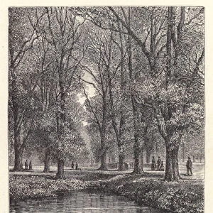 Eton College: Fellows Pond and Sheep Bridge (engraving)